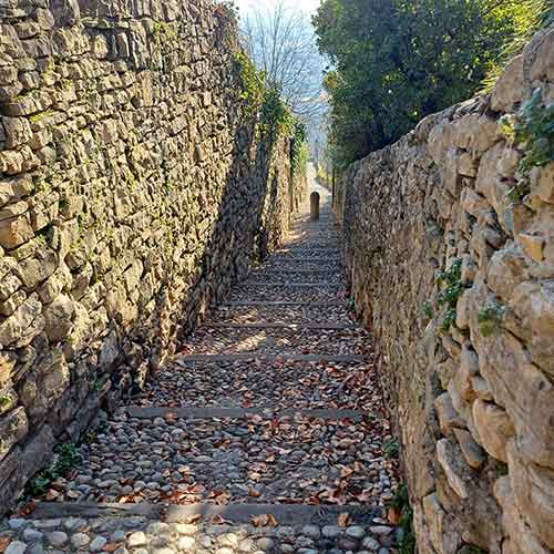 attivita-camminata-colli-bergamo-05