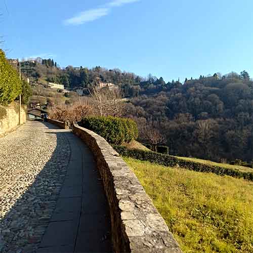 attivita-camminata-colli-bergamo-06